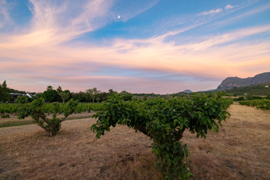 6 Bedroom Property for Sale in Klein Parys Western Cape